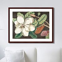 картина: beauty bloom №1, 1732г. в Белгороде