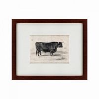 картина: a west highland bull, 1840 в Белгороде