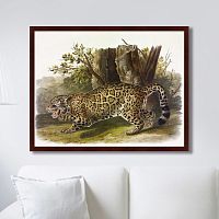 картина: jaguar, 1841г. в Белгороде