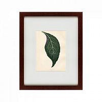 картина: the leaf, 1871 в Белгороде