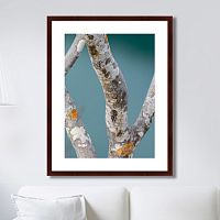 картина: trees on the galapagos islands, ecuador no3 в Белгороде