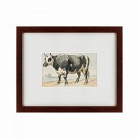 картина: a friesian bull, 1780 в Белгороде