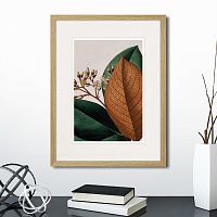 картина: exotic plants of the world №14, 1815г. в Белгороде