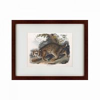 картина: bobcat, 1839 в Белгороде