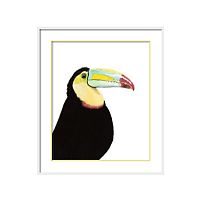 постер toucan разноцветный в Белгороде