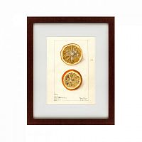 картина: watercolor collection, drawing №5, 1910 в Белгороде