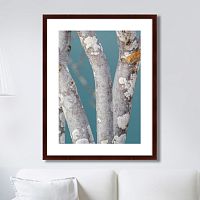картина: trees on the galapagos islands, ecuador no1 в Белгороде