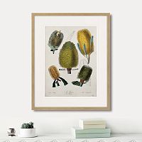 картина: exotic plants of the world №1, 1815г. в Белгороде