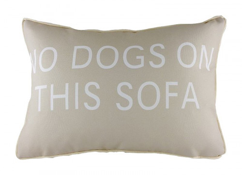 подушка с надписью no dogs on this sofa в Белгороде