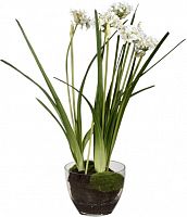 декор allium в Белгороде