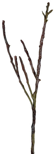 декор dry branches в Белгороде