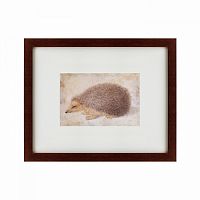картина: a hedgehog, 1584 в Белгороде