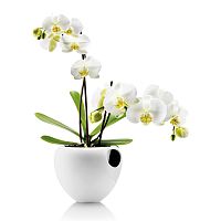 горшок для орхидеи orchid pot белый в Белгороде