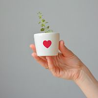 набор для выращивания eco мини-кашпо «сердце» в Белгороде