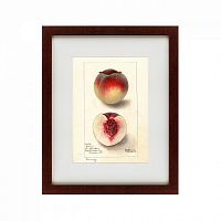 картина: watercolor collection, drawing №4, 1905 в Белгороде