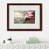 картина: roseate spoonbill, 1827 в Белгороде