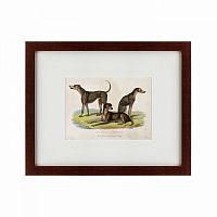 картина: three african bloodhounds, 1830 в Белгороде