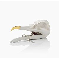 шкатулка для украшений bird skull (белый) в Белгороде