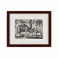 картина: a camel, 1670 в Белгороде
