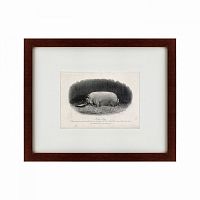картина: a prize boar, 1867 в Белгороде