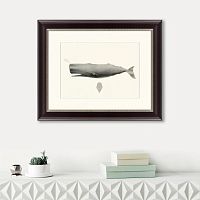 картина: sperm whale (physeter macrocephalus), 1862 в Белгороде