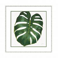 постер monstera зеленый в Белгороде