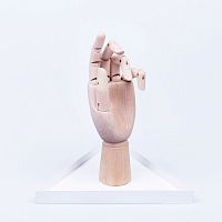 органайзер для украшений the hand белый в Белгороде