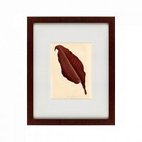 картина: the dark red leaf, 1881 в Белгороде