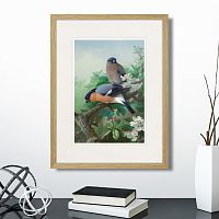 картина: bullfinches, 1915г. в Белгороде
