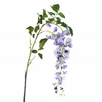 глициния сиреневая 142 см (18) в Белгороде