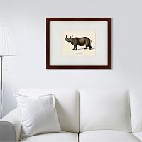картина: rhinoceros ancienne gravure, 1849 в Белгороде