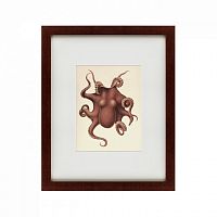 картина: pacific octopus, 1731 в Белгороде