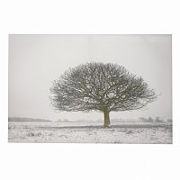 принт wood на подрамнике в Белгороде