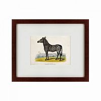 картина: a zebra, 1830 в Белгороде