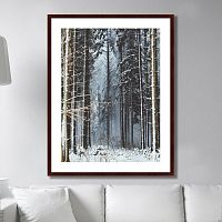картина: forest, upper austria в Белгороде