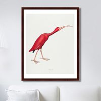 картина: scarlet ibis, 1827г. в Белгороде