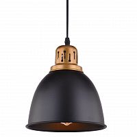 подвесной светильник arte lamp eurica a4245sp-1bk в Белгороде