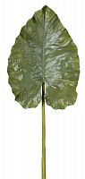 декор giant taro leaf в Белгороде