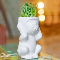 горшок для растений eco игнорик в Белгороде