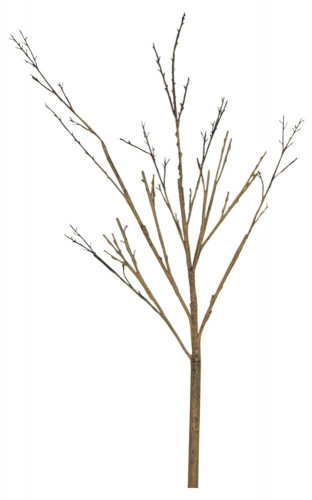 декор twig stem в Белгороде