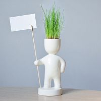 набор для выращивания eco знаменосец в Белгороде