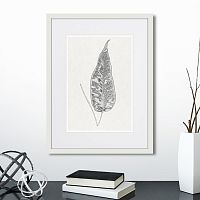 картина: the fern collection №5 в Белгороде