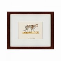 картина: an ocelot, 1801 в Белгороде