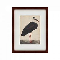 картина: black stork in a landscape, индия, 1780 в Белгороде