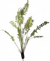 декор fern plant в Белгороде
