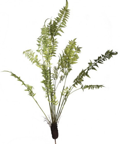 декор fern plant в Белгороде