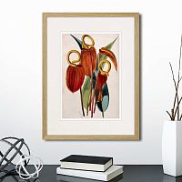 картина: exotic plants of the world №15, 1815г. в Белгороде