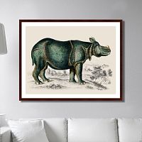 картина: rhinoceros, 1774г. в Белгороде