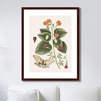 картина: beauty bloom №4, 1732г. в Белгороде