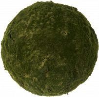 декор moss sun в Белгороде